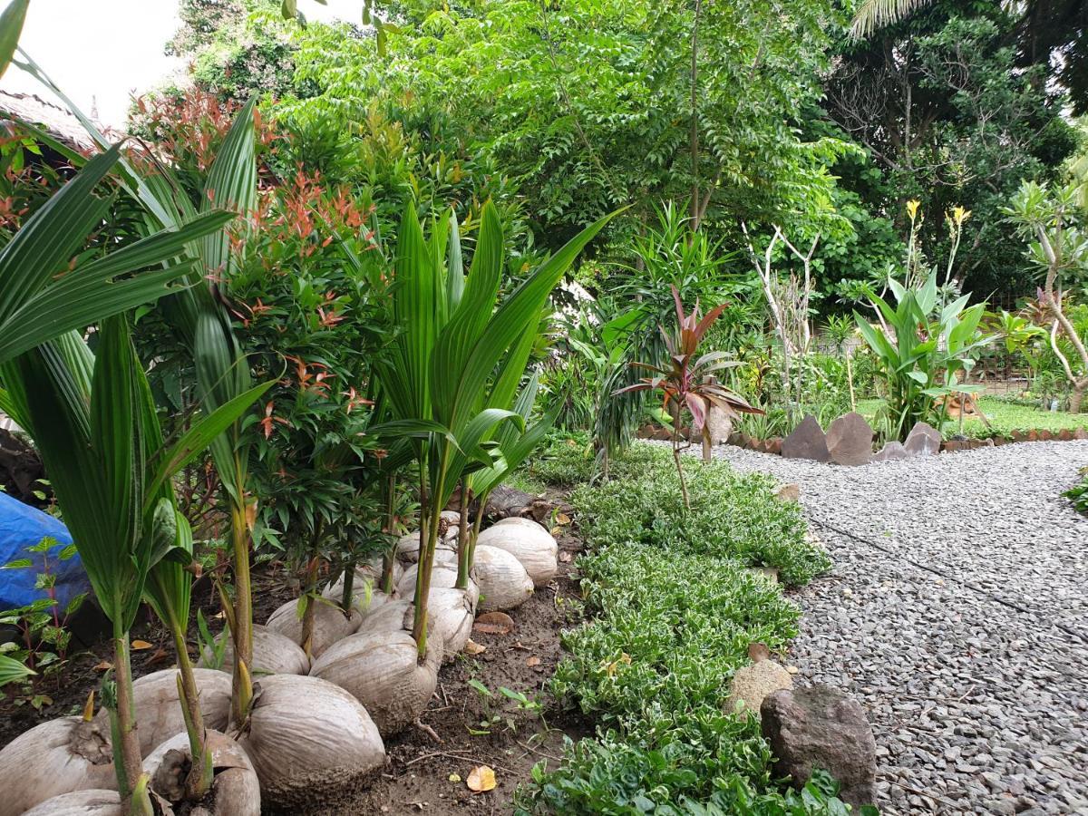 Same Same Bungalows - Eco Friendly Kuta  Dış mekan fotoğraf
